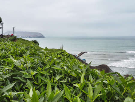 Ocean view from Champagnat Park with green leaves foreground in Miraflores Lima Peruの写真素材