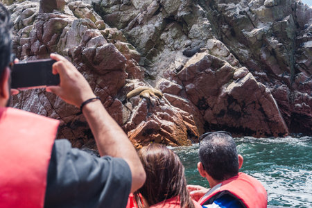 Unrecognizable people on boat sightseeing in the Ballestas Islands at Paracas, Ica Peruの写真素材
