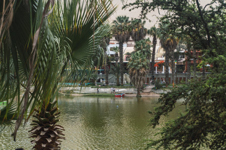 people taking a boat ride in the huacachina lagoon ica peruの写真素材