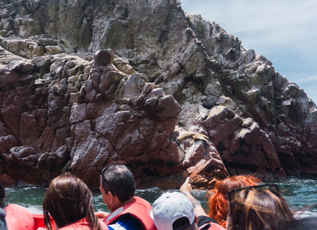 Unrecognizable people on boat sightseeing in the Ballestas Islands at Paracas, Ica Peruの写真素材