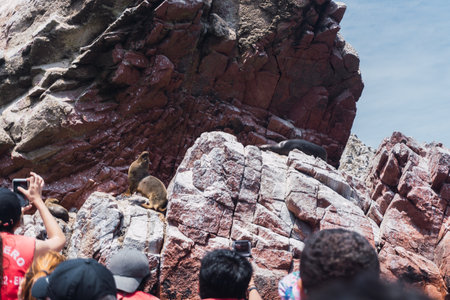 Unrecognizable people on boat sightseeing in the Ballestas Islands at Paracas, Ica Peruの写真素材