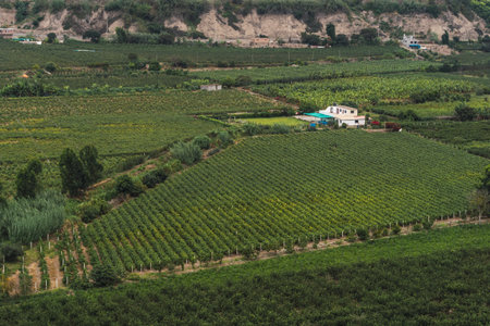 Scenic view of Mala river valley in Azpitia town, Lima Peruの写真素材