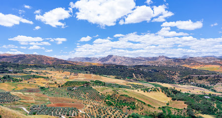Ronda city and its landscapes, from Malaga province, Andalusia, Spain.の写真素材