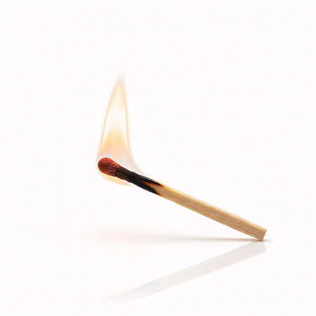 burning matchstick isolated on a white background. 3d illustration.の素材