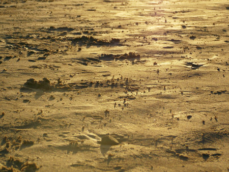 beautiful sand sunset landscape