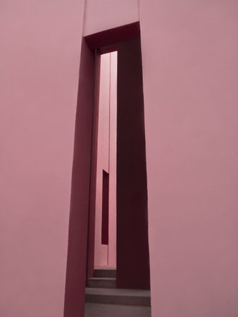 Modern door on a cubist pink building