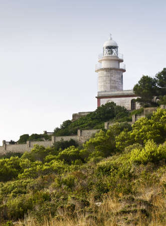 Lighthouse in vertical composition, with some mediterranean plants and trees on the foregoundの写真素材