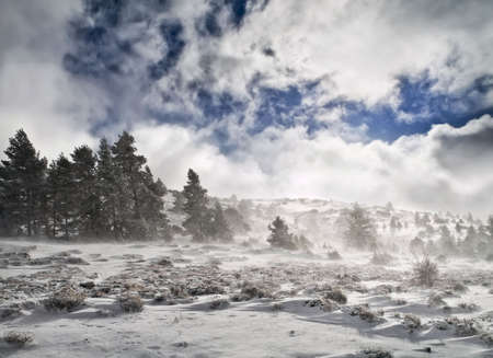 Snowy landscape during a wind storm. Winter scene.の写真素材