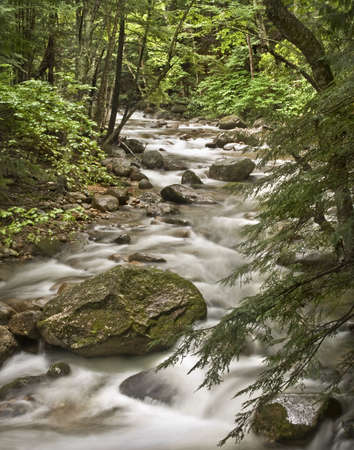 Little river flowing through the forest of the White Mountains National Park, in the state of New Hampshire (USA)の写真素材