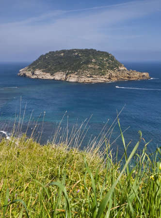 Seascape seen from the top of a cliff above the sea with an island on the horizon and the fresh green grass in the foreground. Vertical composition.の写真素材