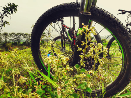 Bicycle wheel in grass