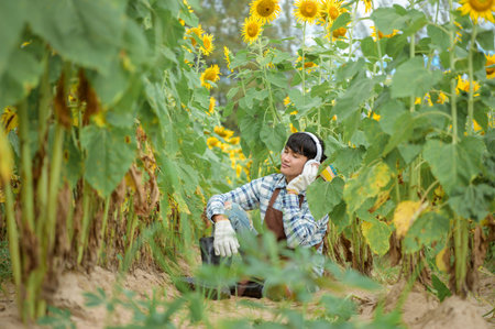 Asian agriculture is resting in the sunflower field. Happy after work