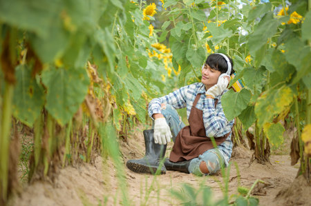 Asian agriculture is resting in the sunflower field. Happy after workの写真素材