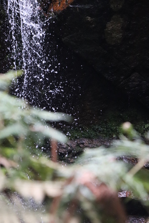 waterfall water stopped behind bushesの写真素材