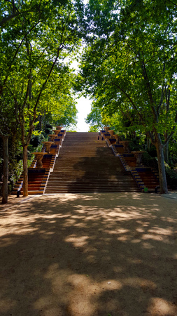 path to stairs between the treesの写真素材