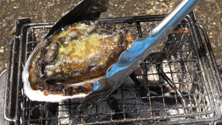 Fresh abalone caught in Japanの写真素材