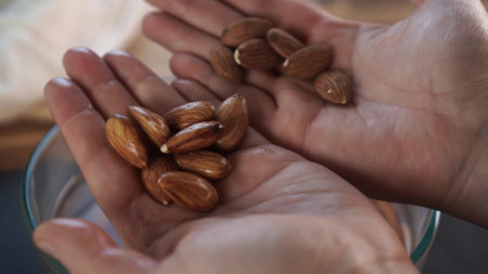 natural tree nuts almond nutsの写真素材