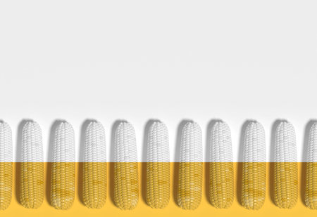 Many corn cobs lie in a row on a yellow and white cross section background. Creative idea, decorative conceptual composition. Modern Art. 3D rendering.の写真素材
