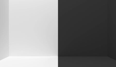 Black and white  interior divided in half into two parts in the middle. Empty blank room with copy space.  One half is white, the other half is black. 3D renderingの写真素材