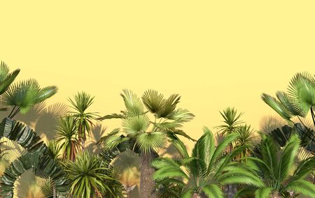Green palm trees and tropical exotic plants on a yellow background with copy space. Conceptual creative illustration. 3D rendering.の写真素材