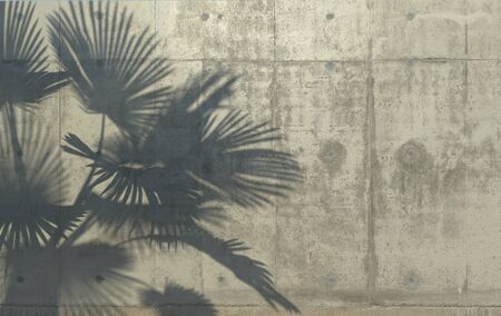 Palm leaves cast a shadow on the concrete wall. Conceptual creative illustration with copy space. Concrete jungle. 3D rendering.の写真素材