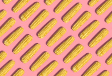 Many yellow corn cobs lie in a row on a pink background. Creative decorative composition. Modern Art. 3D rendering.の写真素材