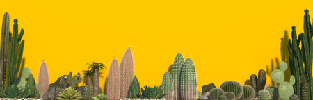 Group of cactus, aloe and succulent plants isolated on yellow background.