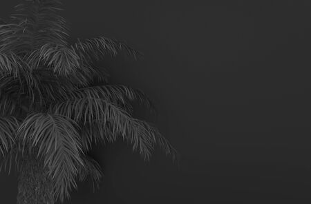 Palm tree with black palm leaves on a black background. Monochrome black foliage. Conceptual creative illustration with copy space. 3D rendering.の写真素材