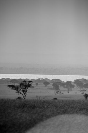 Nile River, Ugandaの写真素材
