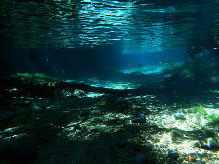 Crystal clear waters full of Dourado and stingray, Rio Triste, Mato Grosso, Brazilの写真素材