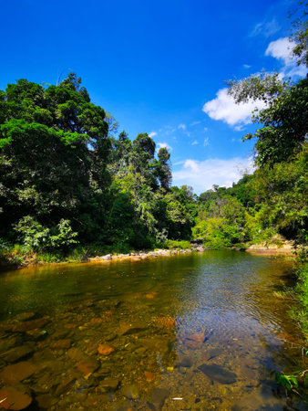 Beautiful calm river with forests on the banks and bright blue sky