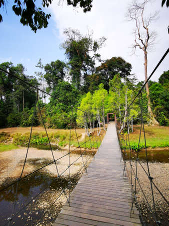 View across a foot bridge with forest in the background, Khao Yai NP, Thailandの写真素材