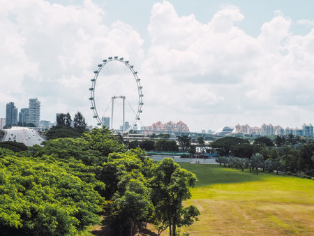 the Largest Ferris Wheel in the World on July 10, 2019 in Singapore.