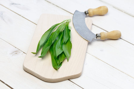 Wild garlic
