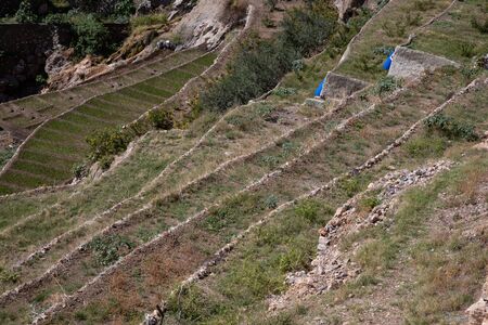 View from above at terraced fields at flank of Jebel Akhdar in Omanの写真素材