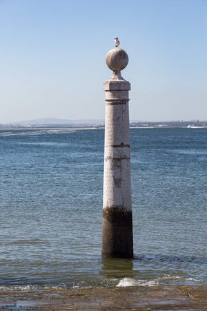 Seagull sitting on top of a pillar at Columns pier Cais das Colunas in Lisbon, Portugal