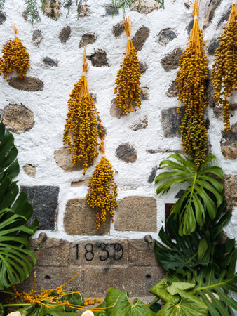 A Beautiful and Aesthetic Stone Wall Accentuated by Vibrant Tropical Plants and Flowers, Puerto de la Cruz, Tenerife, Spainの写真素材