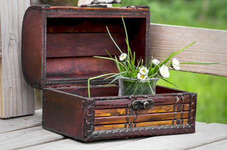 Treasure Chest 003