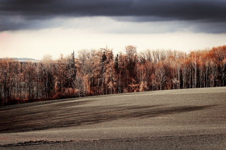 Very solid in the red, abstract elaborated autumn landscape in Kremsmuensterの写真素材