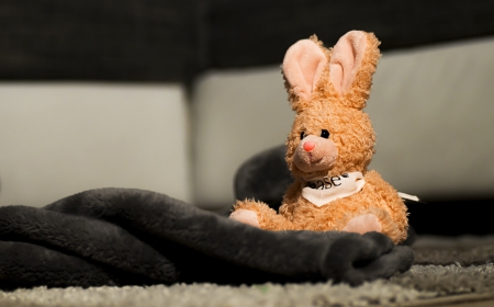 Plushy bunny sitting in front of the couch on the carpetの写真素材