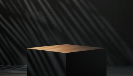 3d render of black podium for product presentation with shadows from palm leafの素材