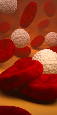 artistic illustration of red and white blood cells in a blood vesselの写真素材