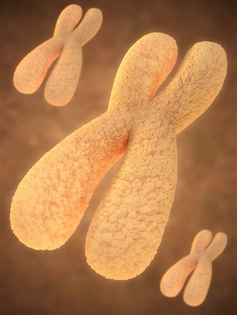 artistic impression of a chromosome in metaphaseの写真素材