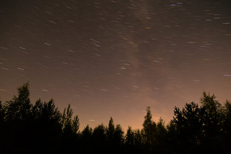 Night sky star trail behind forest