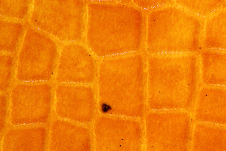 Abstract synthetic leather texture pattern