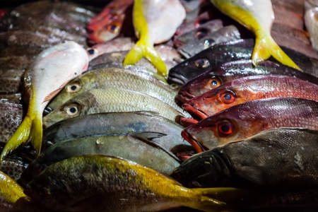 Fishes in asian night marketの写真素材