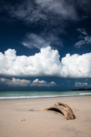 Sand beach and dark blue skyの写真素材