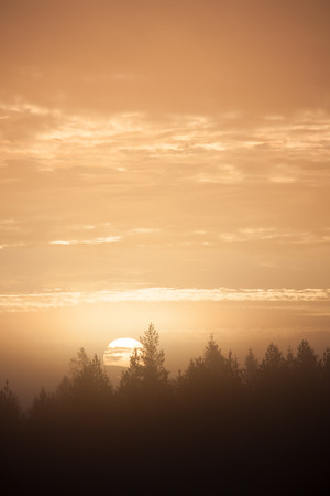 Sunrise over forestの写真素材