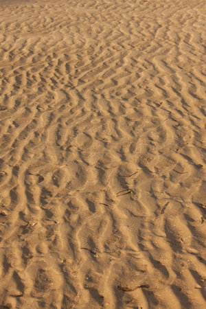 Beach sand texture wave pattern