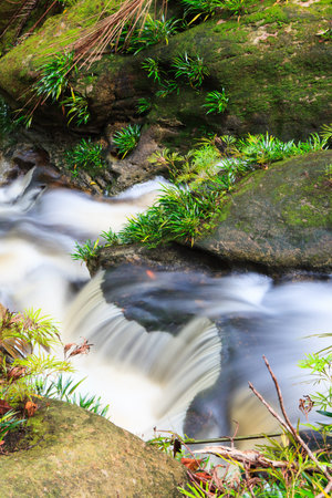 Small waterfall in jungle